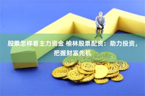 股票怎样看主力资金 榆林股票配资：助力投资，把握财富先机